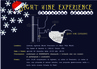 Night Wine Experience-Christmas Edition