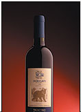 bottiglia cabernet