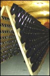 Cantina sparkling wine cellar