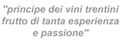principe dei vini trentini frutto di tanta esperienza e passione