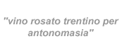 vino rosato trentino per antonomasia