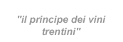 il principe dei vini trentini
