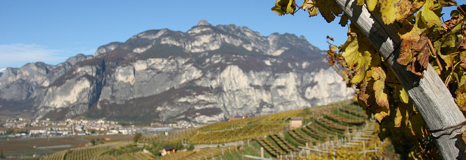 Cantina Fratelli Dorigati