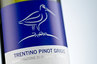 Dorigati - Pinot Grigio